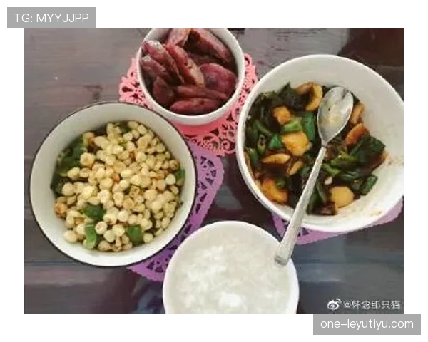 袁心玥家的猫住的都比我家好